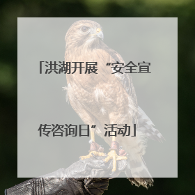 洪湖开展“安全宣传咨询日”活动