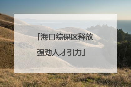 海口综保区释放强劲人才引力