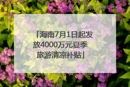 海南7月1日起发放4000万元夏季旅游清凉补贴