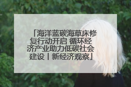 海洋蓝碳海草床修复行动开启 循环经济产业助力低碳社会建设丨新经济观察