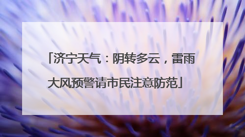 济宁天气：阴转多云，雷雨大风预警请市民注意防范