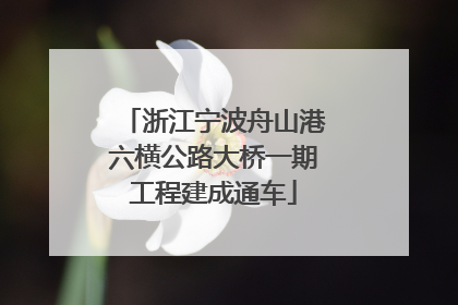 浙江宁波舟山港六横公路大桥一期工程建成通车