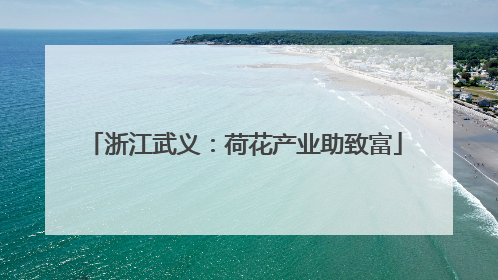 浙江武义：荷花产业助致富