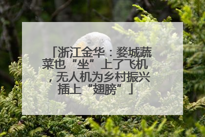 浙江金华：婺城蔬菜也“坐”上了飞机，无人机为乡村振兴插上“翅膀”