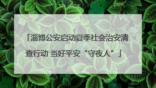 淄博公安启动夏季社会治安清查行动 当好平安“守夜人”