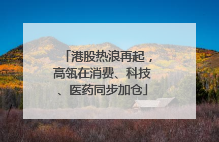 港股热浪再起，高瓴在消费、科技、医药同步加仓