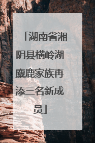 湖南省湘阴县横岭湖麋鹿家族再添三名新成员