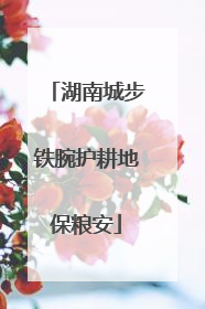 湖南城步铁腕护耕地保粮安