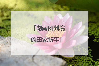 湖南团洲垸的田家新事
