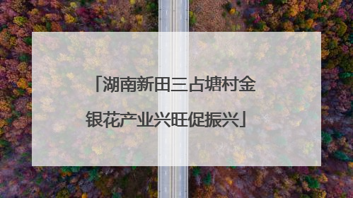 湖南新田三占塘村金银花产业兴旺促振兴