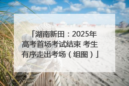 湖南新田：2025年高考首场考试结束 考生有序走出考场（组图）