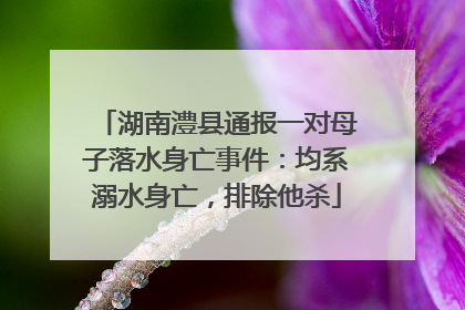 湖南澧县通报一对母子落水身亡事件：均系溺水身亡，排除他杀