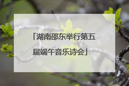 湖南邵东举行第五届端午音乐诗会