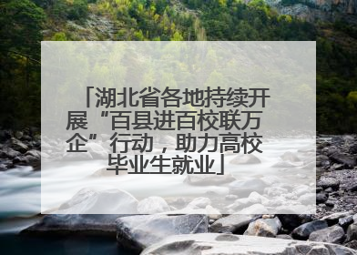 湖北省各地持续开展“百县进百校联万企”行动，助力高校毕业生就业