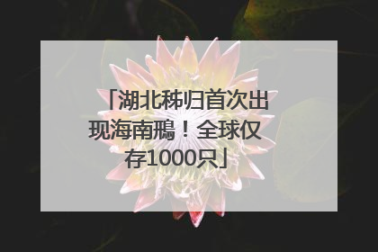 湖北秭归首次出现海南鳽！全球仅存1000只