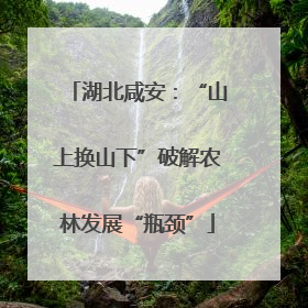 湖北咸安：“山上换山下”破解农林发展“瓶颈”