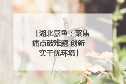 湖北嘉鱼：聚焦痛点破难题 创新实干优环境