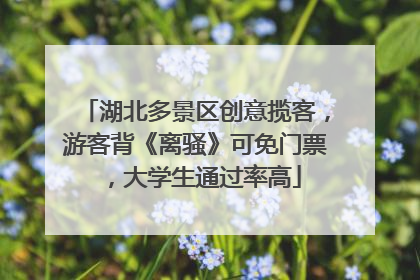 湖北多景区创意揽客，游客背《离骚》可免门票，大学生通过率高