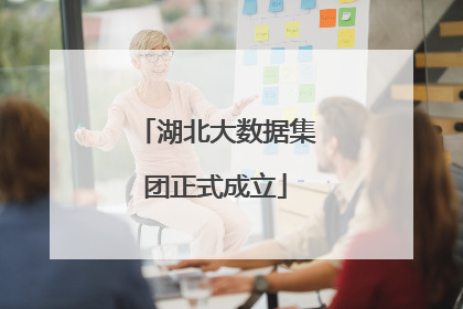 湖北大数据集团正式成立