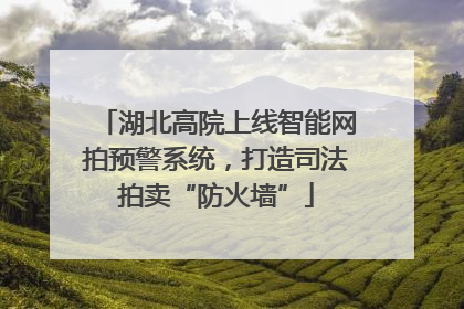 湖北高院上线智能网拍预警系统，打造司法拍卖“防火墙”