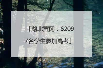 湖北黄冈：62097名学生参加高考
