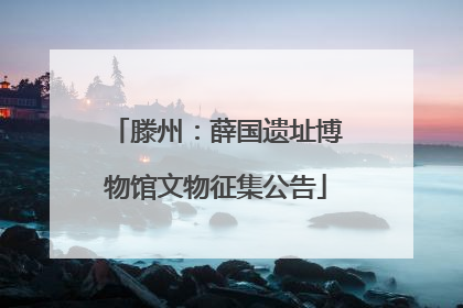 滕州：薛国遗址博物馆文物征集公告