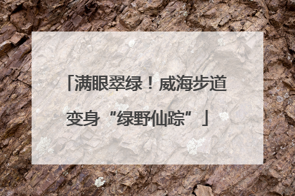 满眼翠绿！威海步道变身“绿野仙踪”