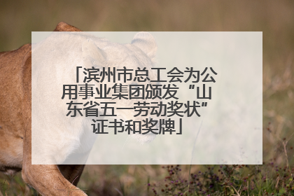 滨州市总工会为公用事业集团颁发“山东省五一劳动奖状”证书和奖牌