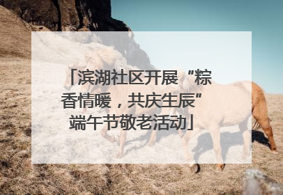 滨湖社区开展“粽香情暖，共庆生辰”端午节敬老活动