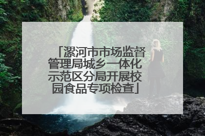 漯河市市场监督管理局城乡一体化示范区分局开展校园食品专项检查