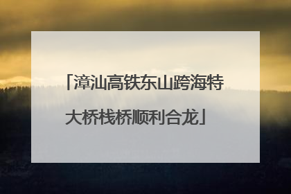 漳汕高铁东山跨海特大桥栈桥顺利合龙