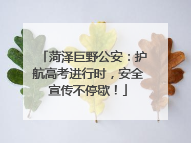 菏泽巨野公安：护航高考进行时，安全宣传不停歇！
