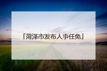 菏泽市发布人事任免