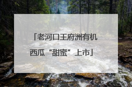 老河口王府洲有机西瓜“甜蜜”上市