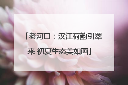 老河口：汉江荷韵引翠来 初夏生态美如画