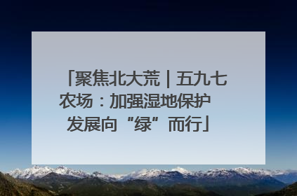 聚焦北大荒｜五九七农场：加强湿地保护 发展向“绿”而行