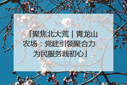 聚焦北大荒｜青龙山农场：党建引领聚合力 为民服务践初心