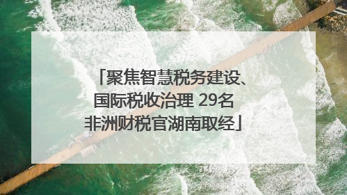 聚焦智慧税务建设、国际税收治理 29名非洲财税官湖南取经