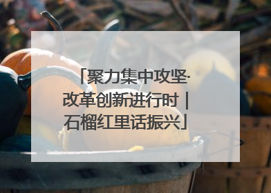 聚力集中攻坚·改革创新进行时｜石榴红里话振兴