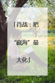肖战：把“藏海”最大化
