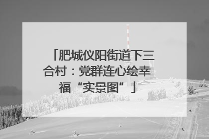 肥城仪阳街道下三合村：党群连心绘幸福“实景图”