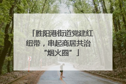 胜阳港街道党建红纽带，串起商居共治 “烟火圈”