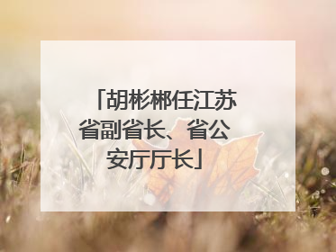 胡彬郴任江苏省副省长、省公安厅厅长