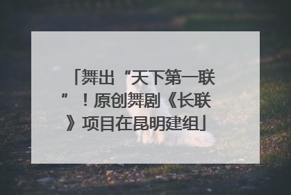 舞出“天下第一联”！原创舞剧《长联》项目在昆明建组