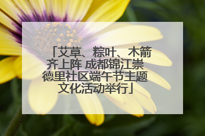 艾草、粽叶、木箭齐上阵 成都锦江崇德里社区端午节主题文化活动举行