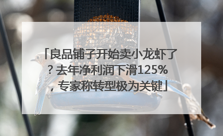 良品铺子开始卖小龙虾了？去年净利润下滑125%，专家称转型极为关键