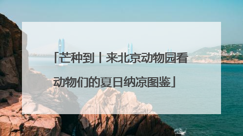 芒种到丨来北京动物园看动物们的夏日纳凉图鉴