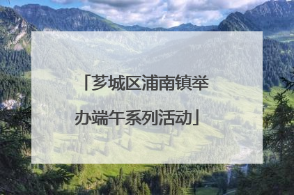 芗城区浦南镇举办端午系列活动
