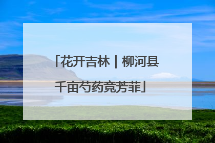 花开吉林｜柳河县千亩芍药竞芳菲