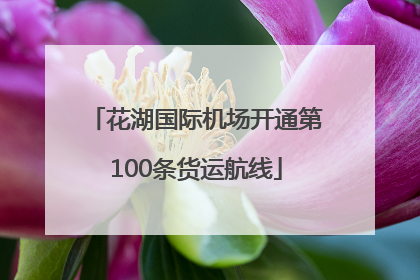 花湖国际机场开通第100条货运航线